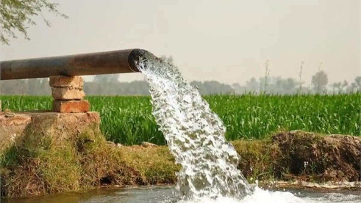 सिरसा: 33 केवी कागदाना बिजलीघर का नया ट्यूबवेल टाइम टेबल जारी, आज रात से लागू