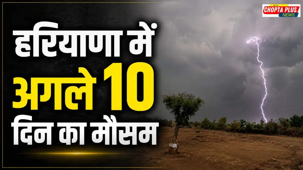 IMD Haryana Weather Forecast 10 Days Orange Alert Heatwave May 2026