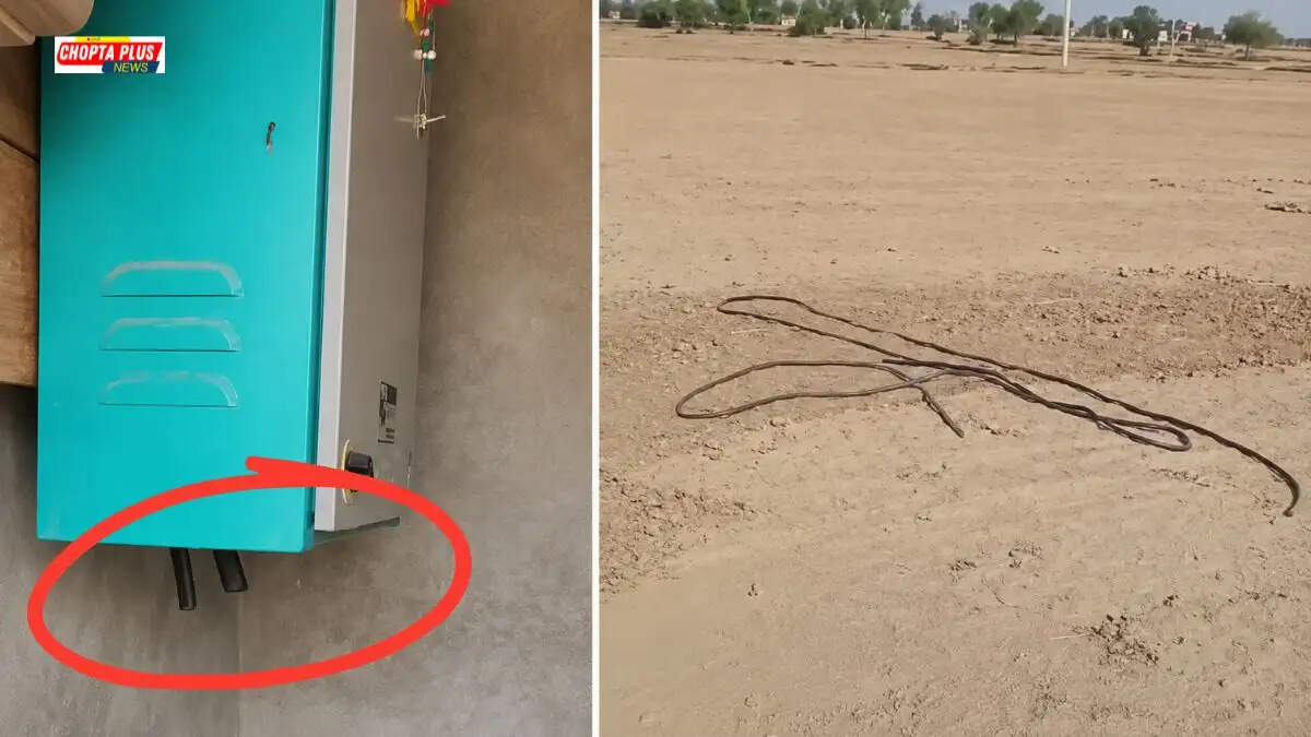 सिरसा के भरोखां गांव में ट्यूबवेलों की तारें चोरी होने के बाद खेतों में कटे हुए तार और परेशान किसान