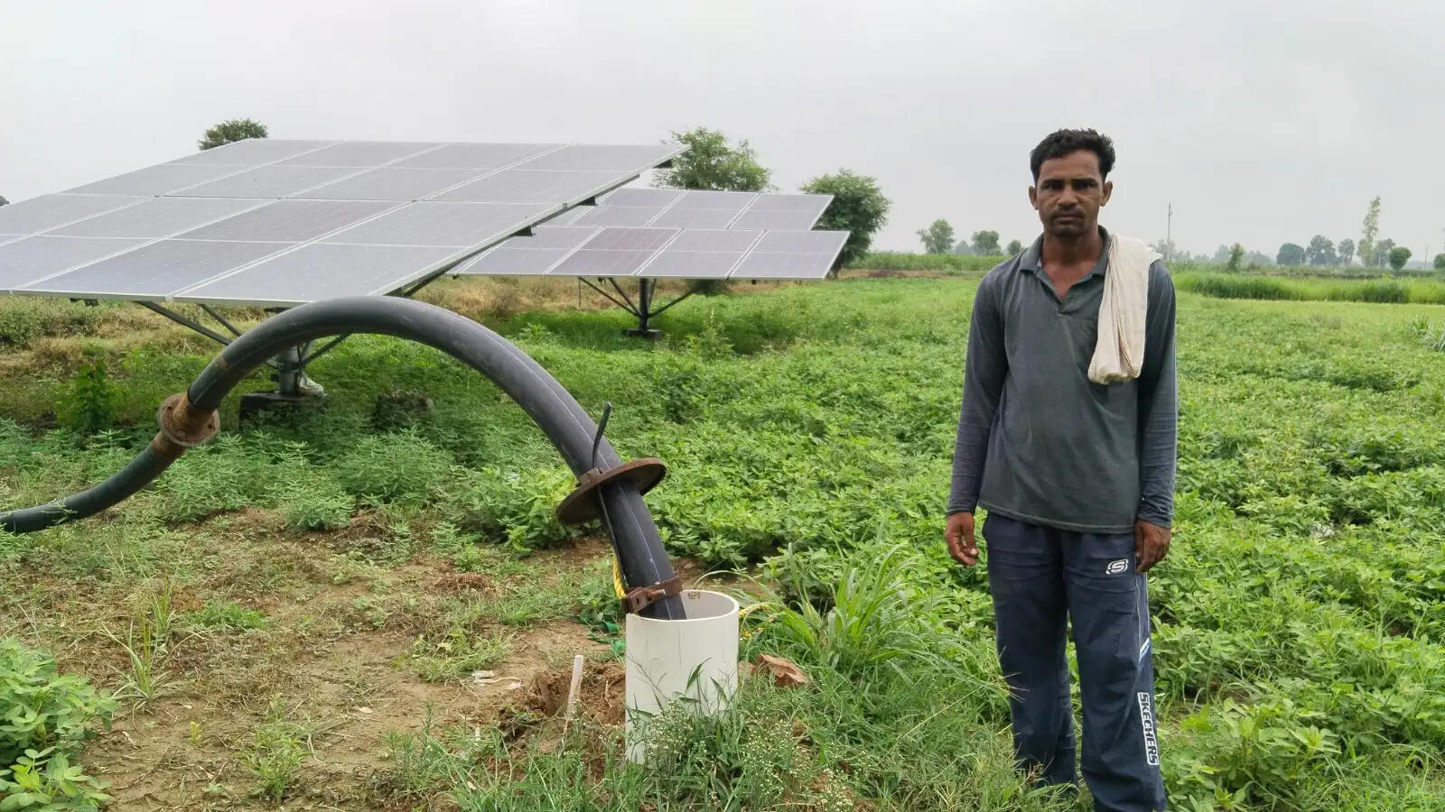 सिरसा के नाथूसरी चोपटा क्षेत्र के गांव ढूंकड़ा में चोरों ने एक ही रात में 10 ट्यूबवेलों की केबल चोरी 
