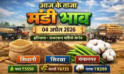 Haryana & Rajasthan Mandi Bhav Today