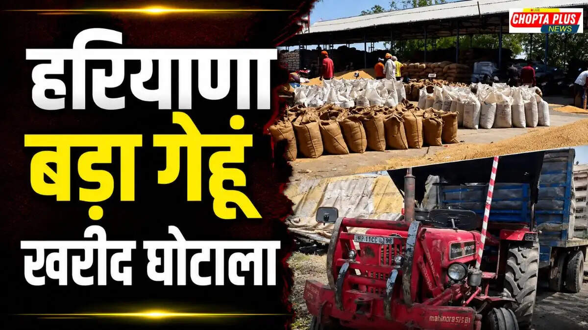 हरियाणा गेहूं खरीद घोटाला Haryana wheat procurement scam करनाल इंद्री मंडी फर्जीवाड़ा 5 फर्म केस 8 May 2026