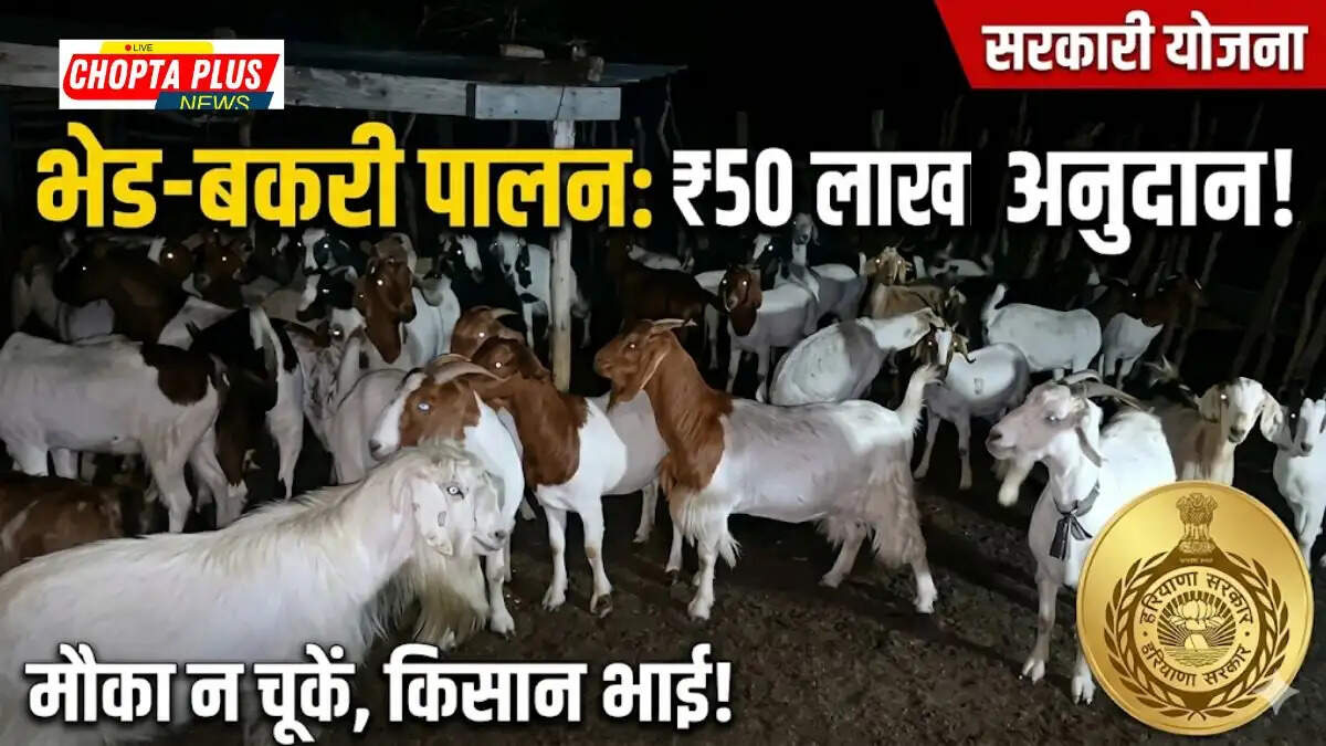 भेड़ बकरी पालन 50 लाख सब्सिडी NLM योजना
