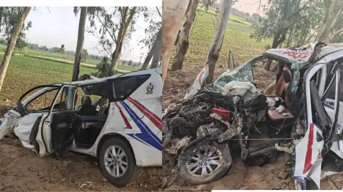 सिरसा: नहराणा के पास पेड़ से टकराई डायल 112 की गाड़ी, गश्त पर जा रहे तीन पुलिसकर्मी घायल