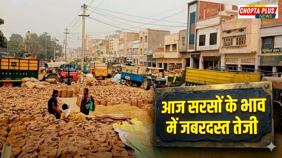 Latest mandi prices of Sirsa and Nohar on 15 April 2026 showing narma kapas sarson wheat rates