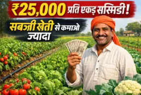 Integrated Vegetable Farming