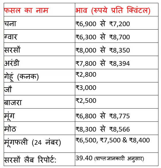 mandi bhav nohar