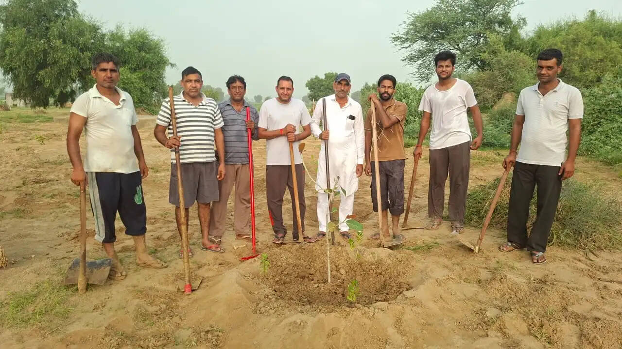 Moksh Dham Aranianwali plantation drive 