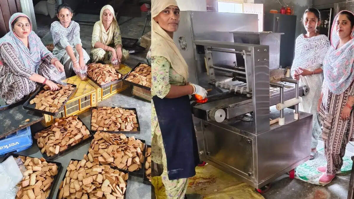 सिरसा के बणी की इस महिला ने बदली किस्मत, सरकारी स्कीम के लोन से शुरू बिजनेस, अब सालाना 25 लाख की कमाई, 12 महिलाओं को भी दिया रोजगार