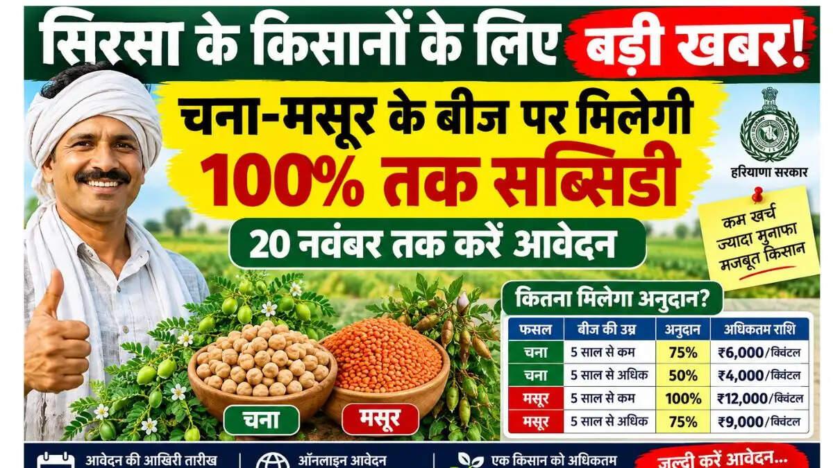 सिरसा के किसानों के लिए बड़ी खबर! चना-मसूर के बीज पर मिलेगी 100% तक सब्सिडी, 20 नवंबर तक करें आवेदन