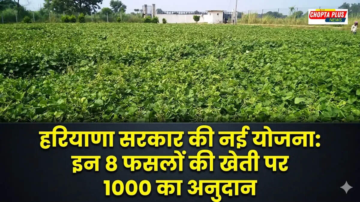 Haryana government dhaincha seed subsidy scheme for farmers - ढेंचा बीज अनुदान