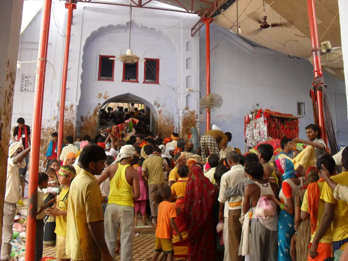 gogamedi mela 2026 