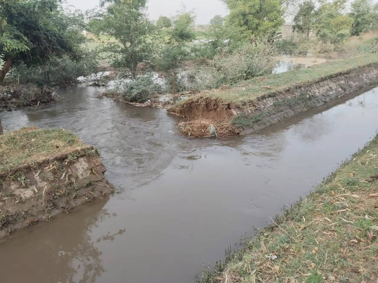 Bhakra distributary canal burst