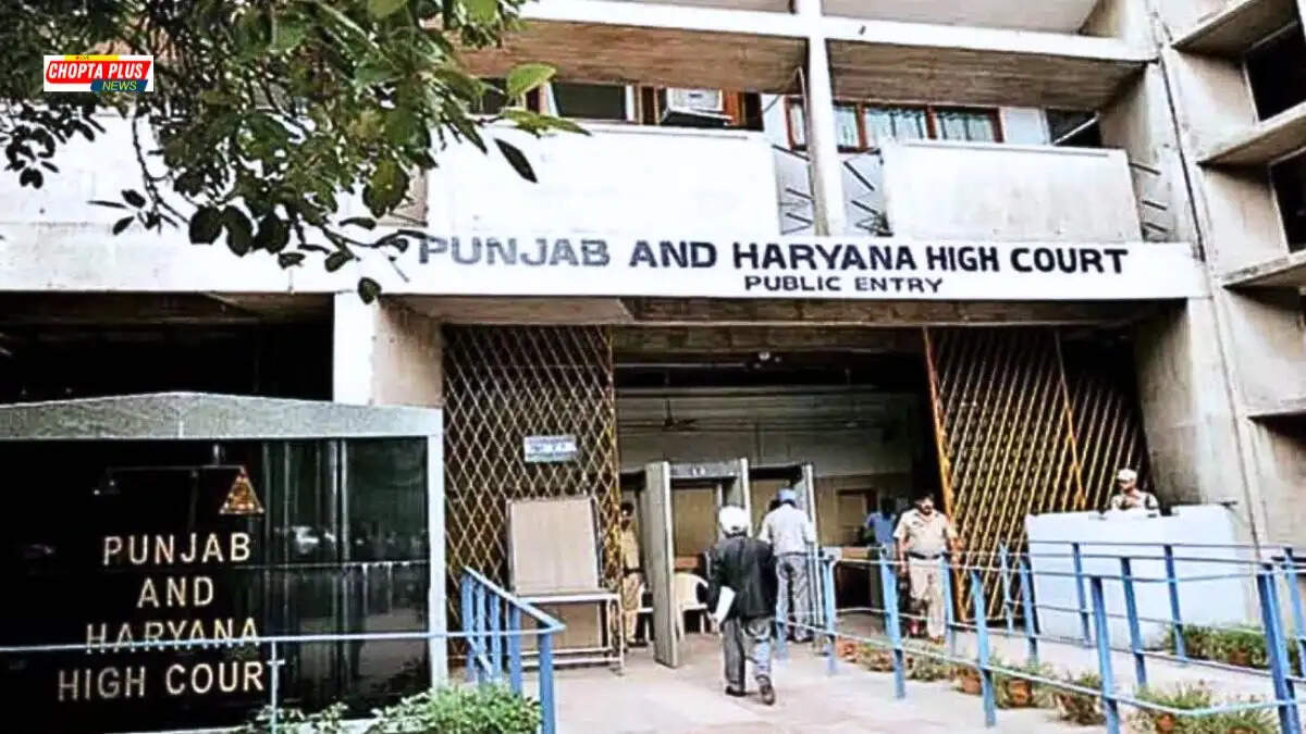 गुरुग्राम में बन रहे ईडब्ल्यूएस और बीपीएल फ्लैट्स की फाइल फोटो, जिस पर पंजाब एवं हरियाणा हाईकोर्ट ने निरस्तीकरण की रोक लगाई है