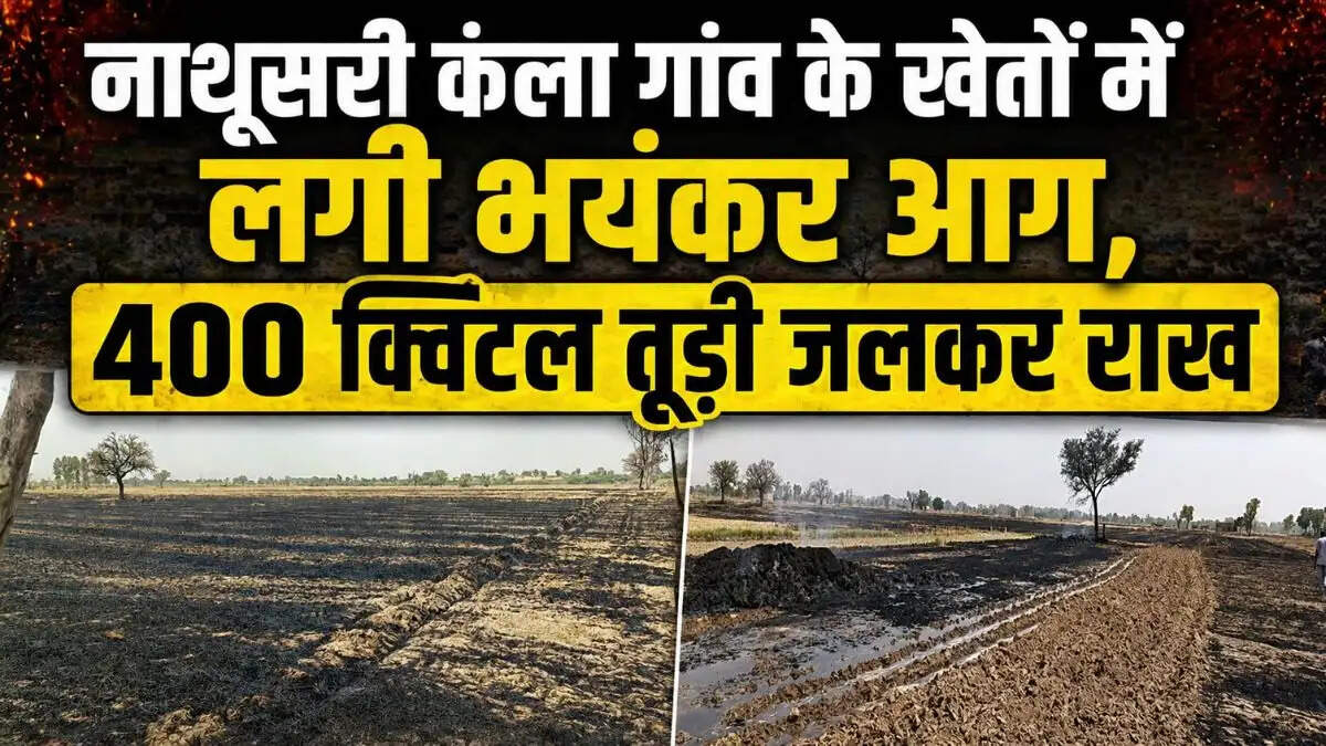 Wheat straw fire burning 20 acres in Nathusari Kalan village Sirsa Haryana while fire brigade on strike &mdash; fire brigade strike Sirsa wheat straw fire