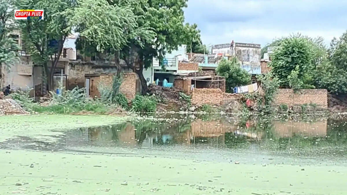 हरियाणा के एक गांव में प्रदूषित तालाब की सफाई करते मजदूर और अधिकारी, जहां सरकार ने कचरा फेंकने पर जुर्माने का नया नियम लागू किया है