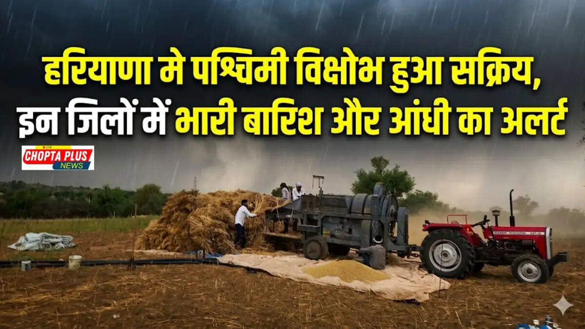 Dark clouds hovering over wheat fields in Haryana indicating heavy rain and western disturbance