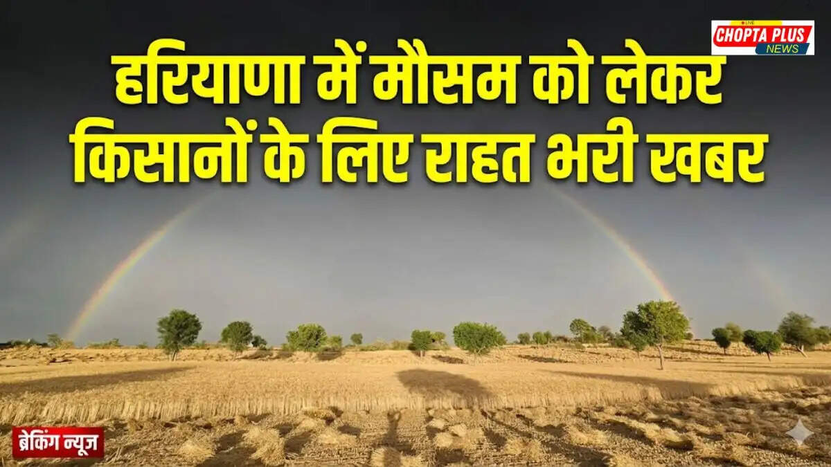 People walking under scorching sun in Haryana during April heatwave 2026