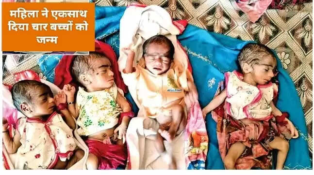 सिरसा न्यूज