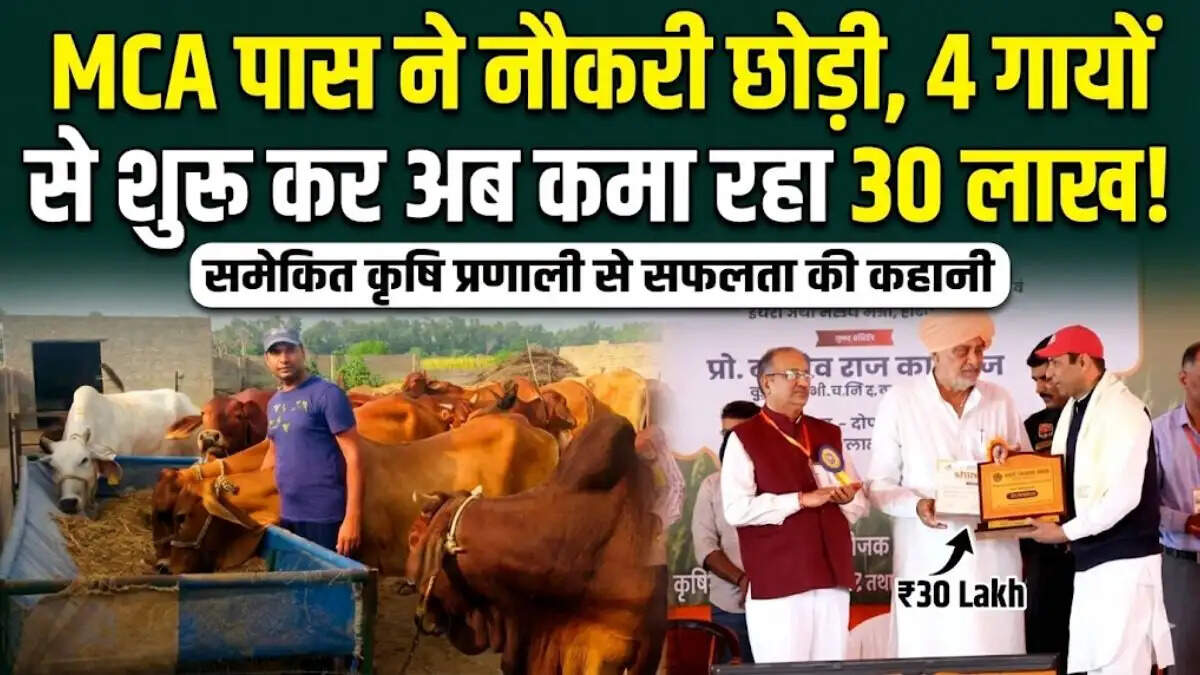 सिरसा के गांव रूपाणा खुर्द के प्रगतिशील किसान सुरेंद्र सुथार अपनी देसी गायों के साथ