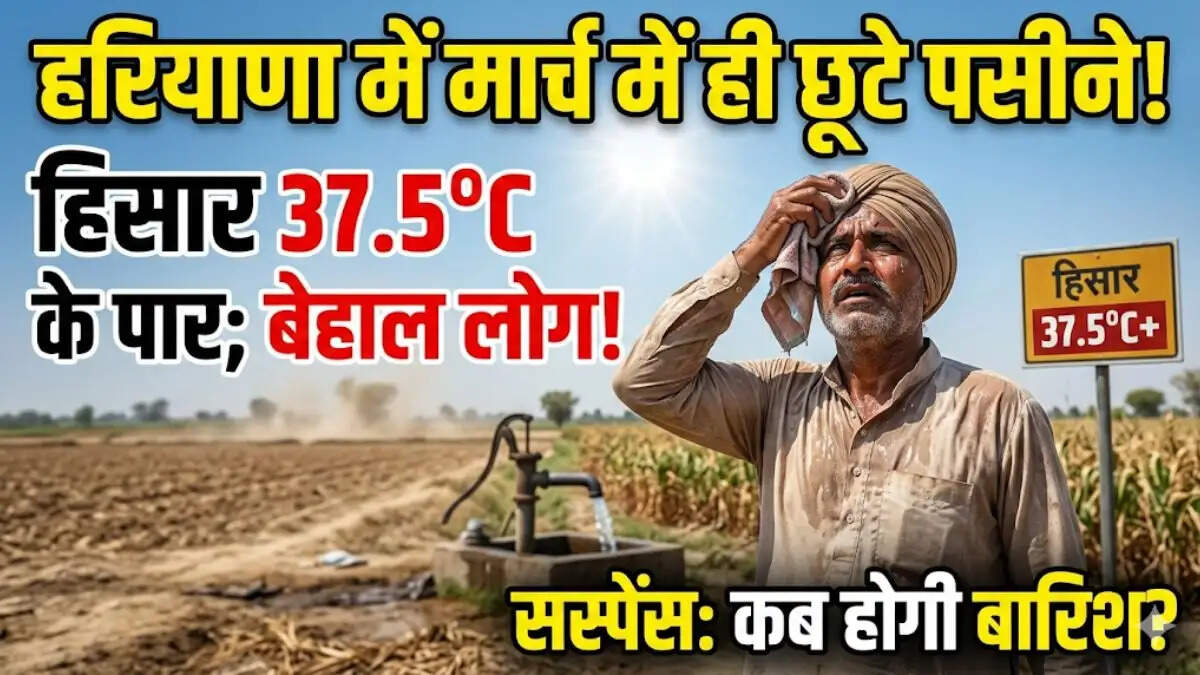 हरियाणा में तेज धूप, बढ़ता तापमान और आगामी बारिश का अलर्ट