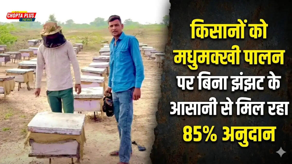 खेत में रखे मधुमक्खी पालन के बक्से और हरियाणा सरकार की योजना Haryana Beekeeping Subsidy