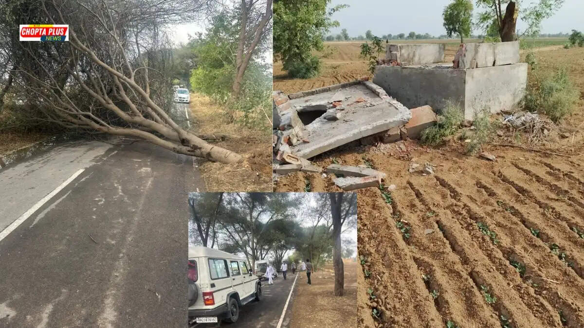 चौपटा क्षेत्र में तूफान के कारण सड़क पर गिरे पेड़ और टूटे हुए बिजली के खंभे।