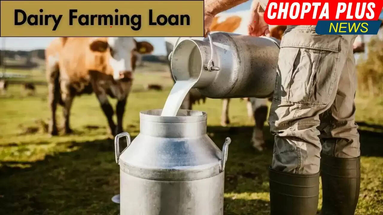 dairyलोन